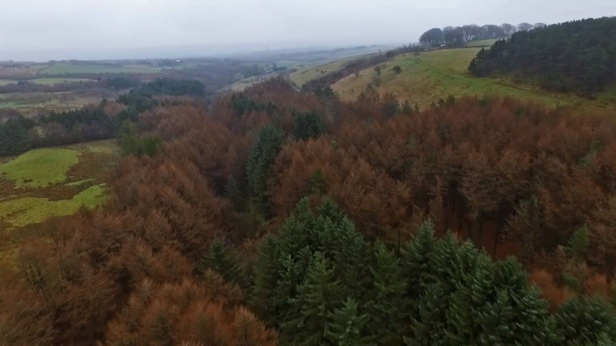Test flight over Walker Fold Woods and Burnt Edge Colliery in Bolton