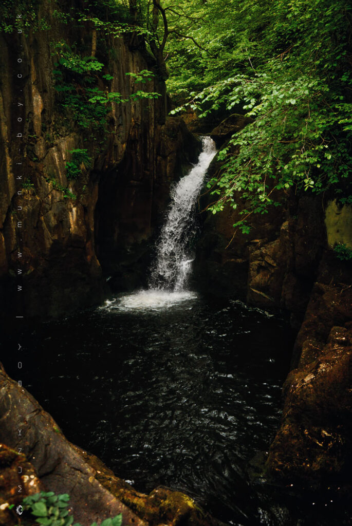 Hollybush Spout